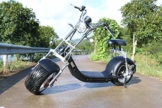 Citycoco Harley - 1